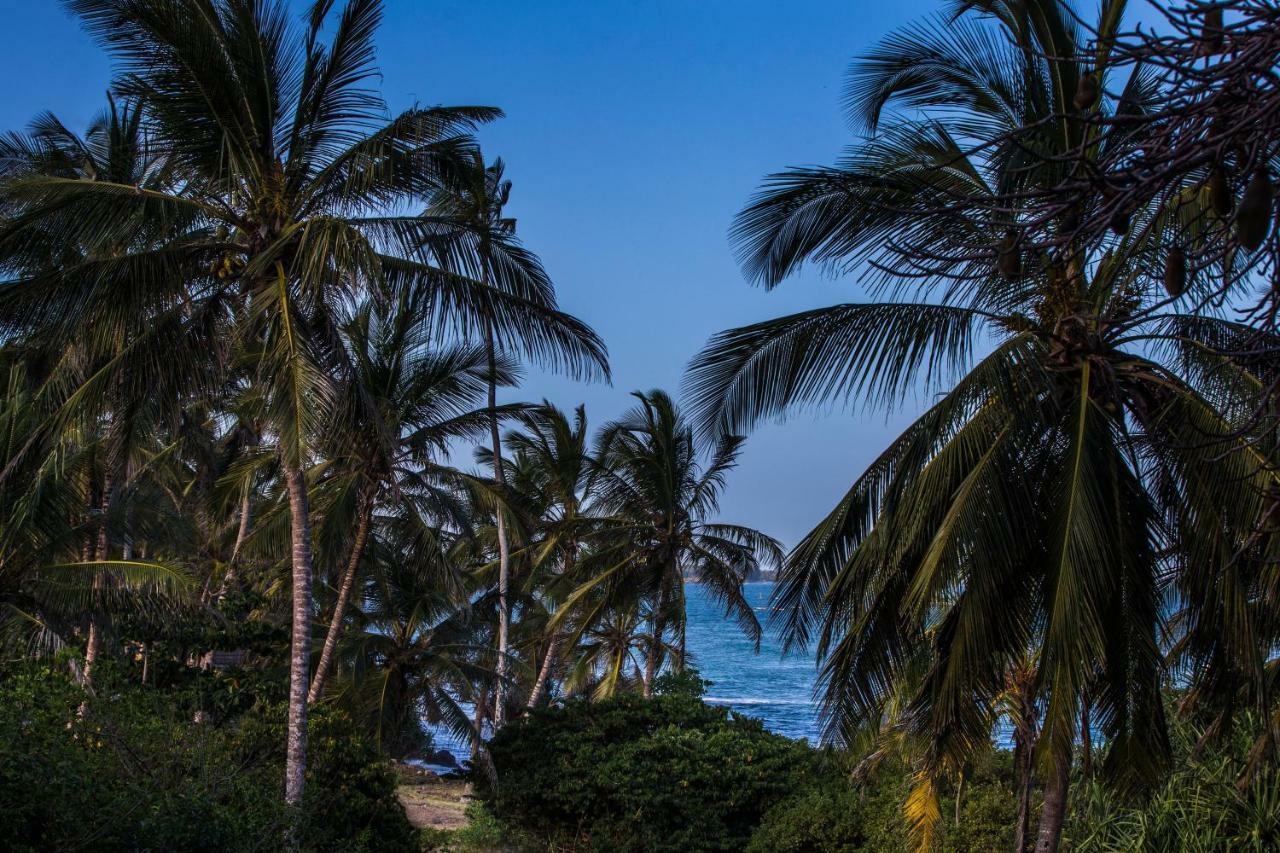 Msambweni Beach House Villa Bagian luar foto